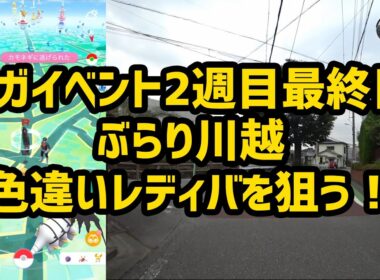 【ポケモンGO】メガイベント2週目最終日、ぶらり川越で色違いレディバを狙う！