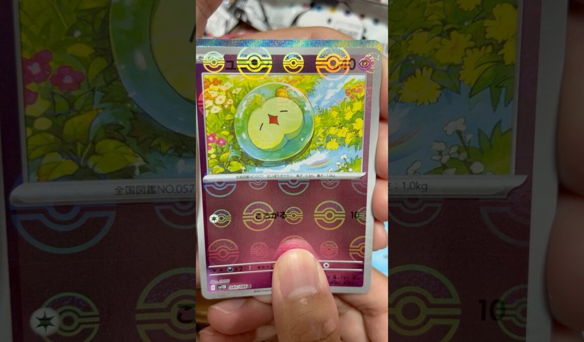 ついにゼクロムSARきたか！　　　　　　#ポケカ #ポケモン #ポケモンカード #pokemon #pokemoncards #pokemontcg #ブラックボルト