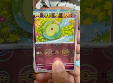 ついにゼクロムSARきたか！　　　　　　#ポケカ #ポケモン #ポケモンカード #pokemon #pokemoncards #pokemontcg #ブラックボルト
