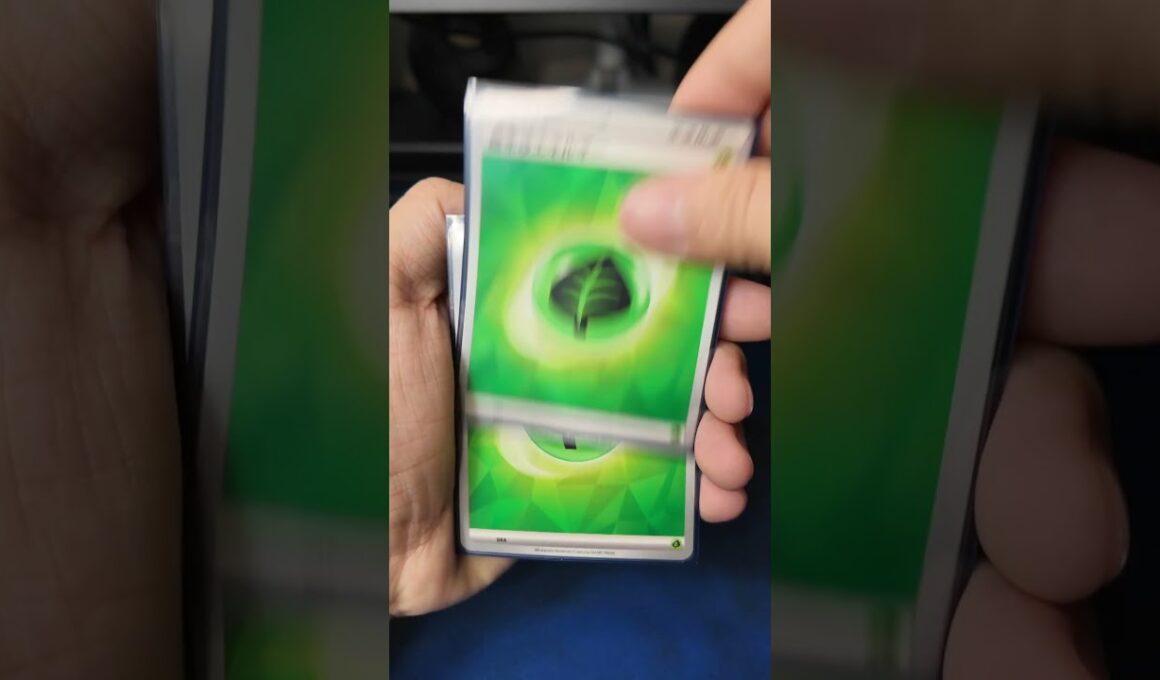 メガニウムポンデッキ紹介【ポケカ】