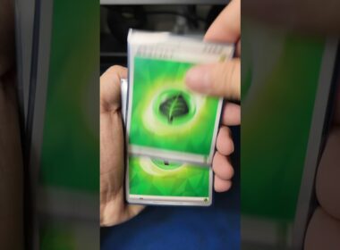 メガニウムポンデッキ紹介【ポケカ】