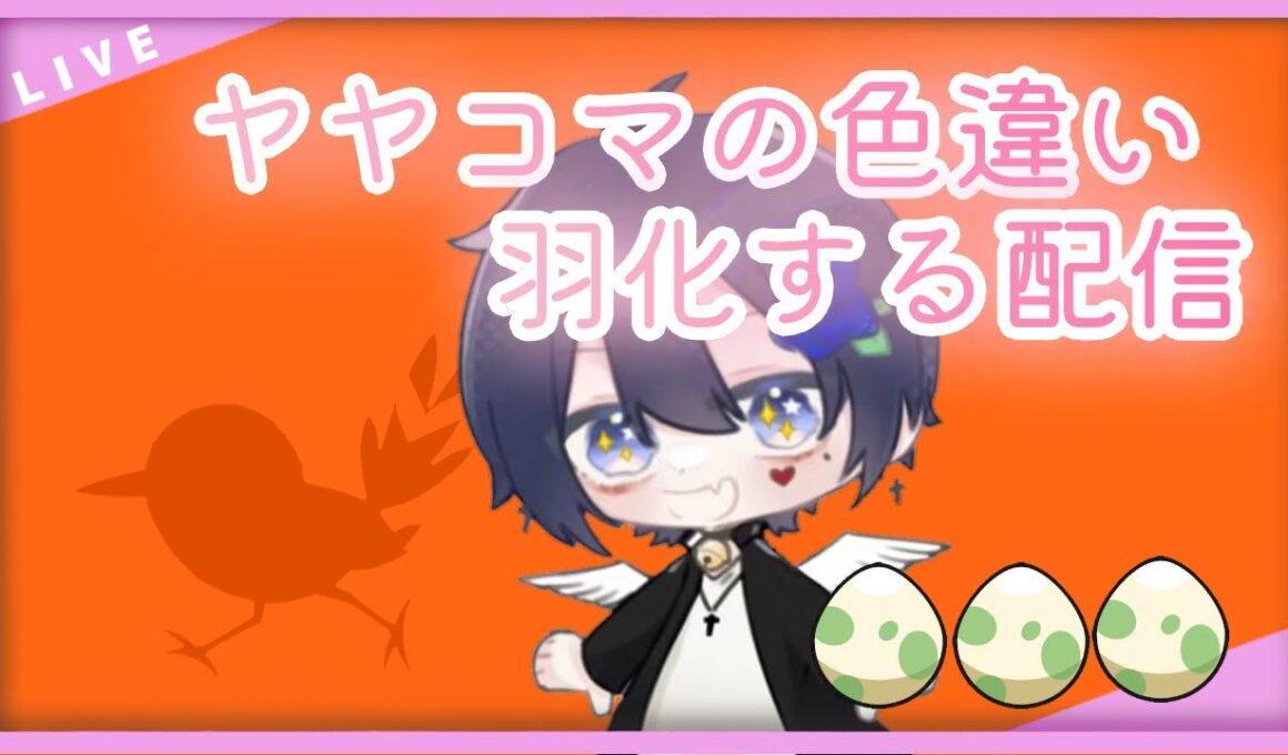 【ポケットモンスターバイオレット】動画で使う色違いヤヤコマ羽化す！【sv】