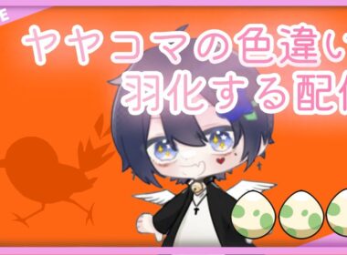 【ポケットモンスターバイオレット】動画で使う色違いヤヤコマ羽化す！【sv】