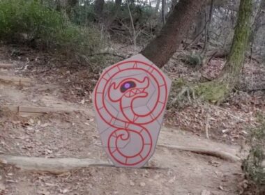 [GO Snapshot Slideshow] 데스판 ( Runerigus ) デスバーン