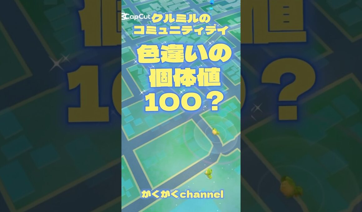 【pokemon GO】クルミルのコミュニティデイ色違い100出るか？#shorts