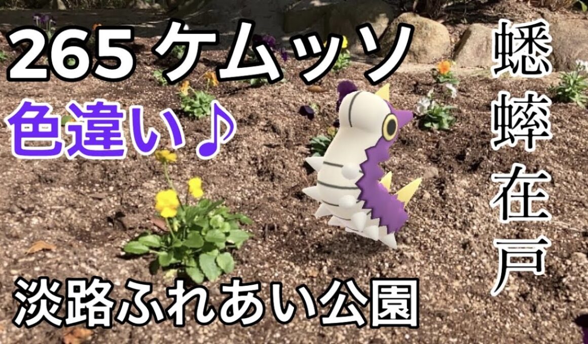 【ポケGO動くポケモンずかん】265ケムッソ｜Wurmple｜ShinyPokémon｜蟋蟀在戸｜AR動画｜PoKeMoN GO AR