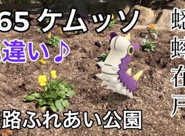【ポケGO動くポケモンずかん】265ケムッソ｜Wurmple｜ShinyPokémon｜蟋蟀在戸｜AR動画｜PoKeMoN GO AR
