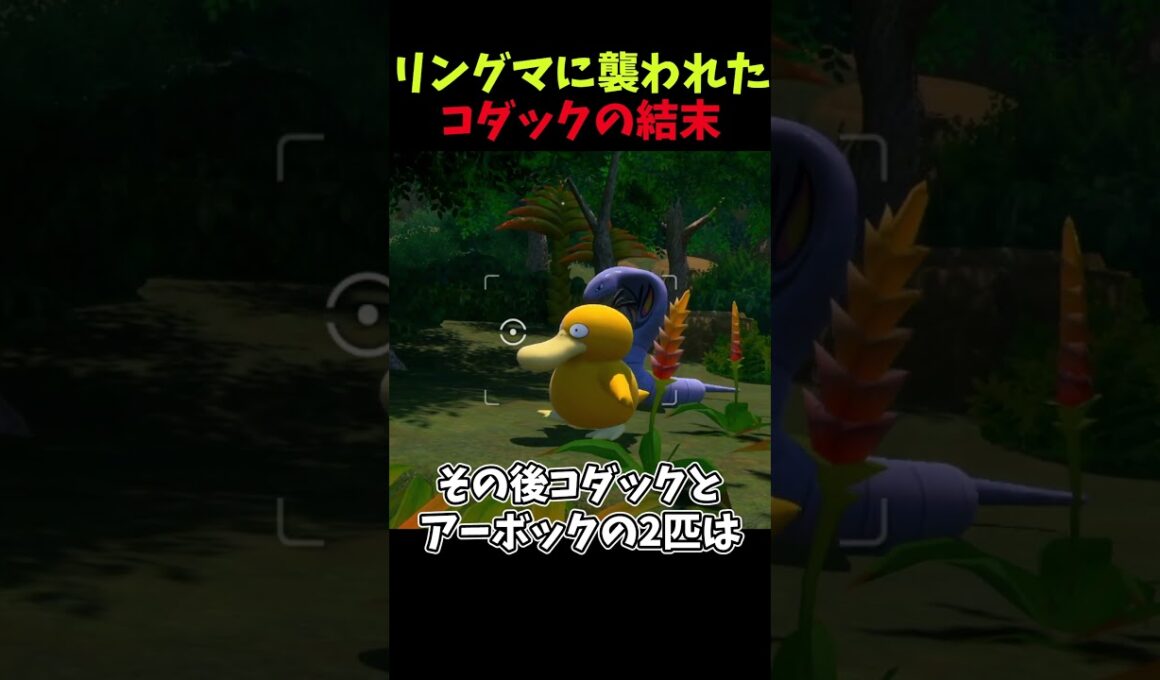 リングマに襲われたコダックの結末【New ポケモンスナップ】#ポケモン  #shorts