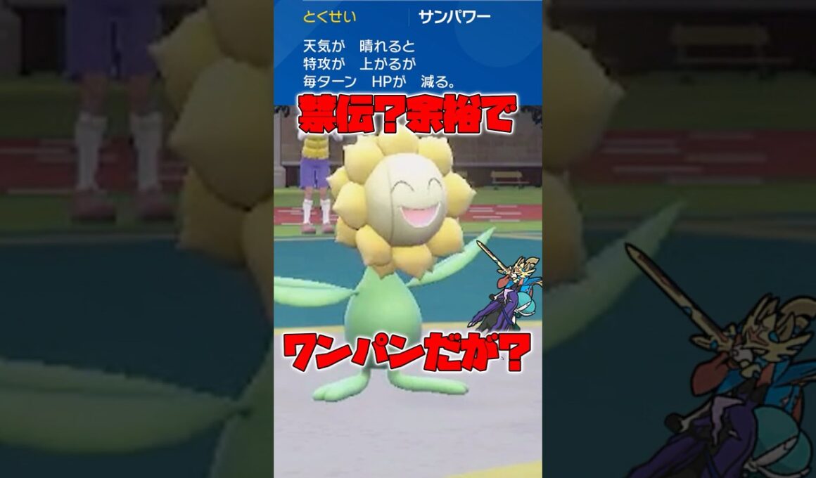 【太陽神】#キマワリ が禁伝共を超火力でワンパンするそうです #ポケモンsv #ゆっくり実況 #キマワリ #レギュレーションI #ポケモン #pokemon #ゆっくり #ショート