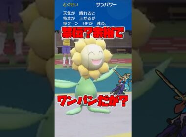 【太陽神】#キマワリ が禁伝共を超火力でワンパンするそうです #ポケモンsv #ゆっくり実況 #キマワリ #レギュレーションI #ポケモン #pokemon #ゆっくり #ショート
