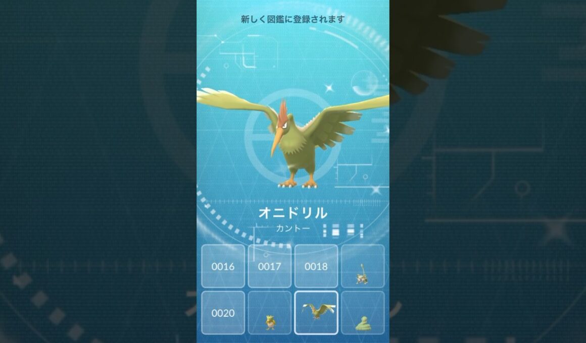 【 ポケモンgo 】 色違い オニスズメ → オニドリル ！愛鳥週間！【 うさぴよの巣 】#pokemongo #愛鳥週間