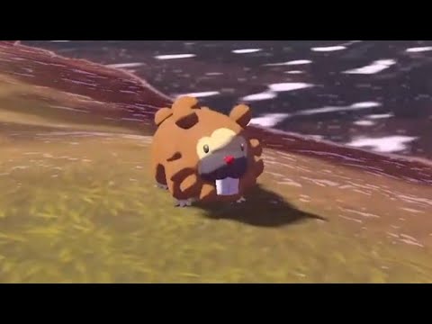 ビッパが可愛すぎた【ポケモンレジェンズ】