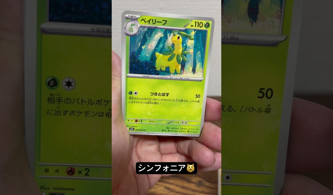 ギラギラのユキノオー❄️#ポケモンカード #ポケカ #ポケモン #ポケカ開封