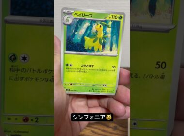 ギラギラのユキノオー❄️#ポケモンカード #ポケカ #ポケモン #ポケカ開封