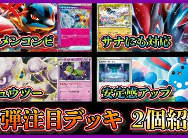 【大会注目デッキ】優勝したサーナイトも見れるメガルカリオゾロアーク、まさかのマリルリミュウツーを紹介して考察します【ポケカ】