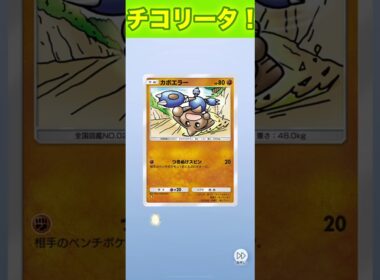 チコリータ！【ポケポケ】