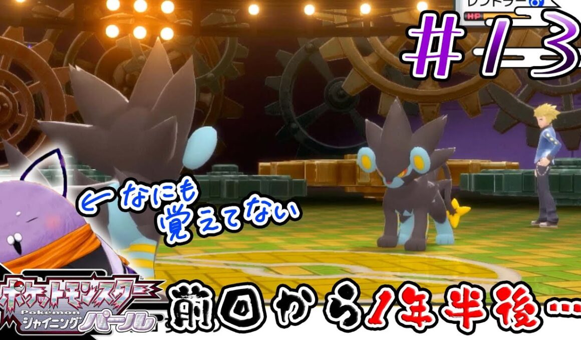 前回撮影から1年半経過…本当に何も覚えていない転生した鳩【ポケットモンスター：シャイニングパール】【狐飼狩鳩】