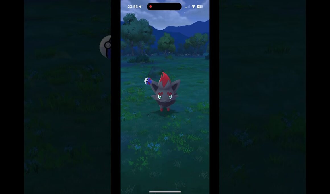🎮ゾロアをゲット • CP.471✨ : ポケモンGO