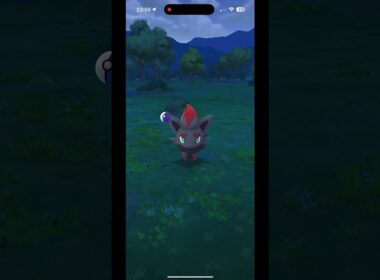 🎮ゾロアをゲット • CP.471✨ : ポケモンGO