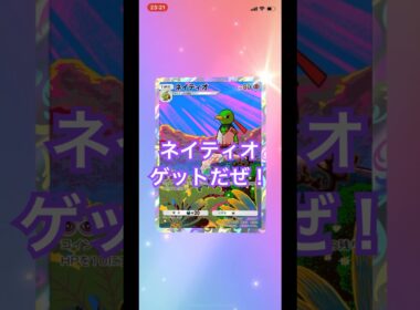 【開封動画】ネイティオ #ポケカ開封動画 #ポケモンカード #ポケポケ #ポケモン #ポケカ