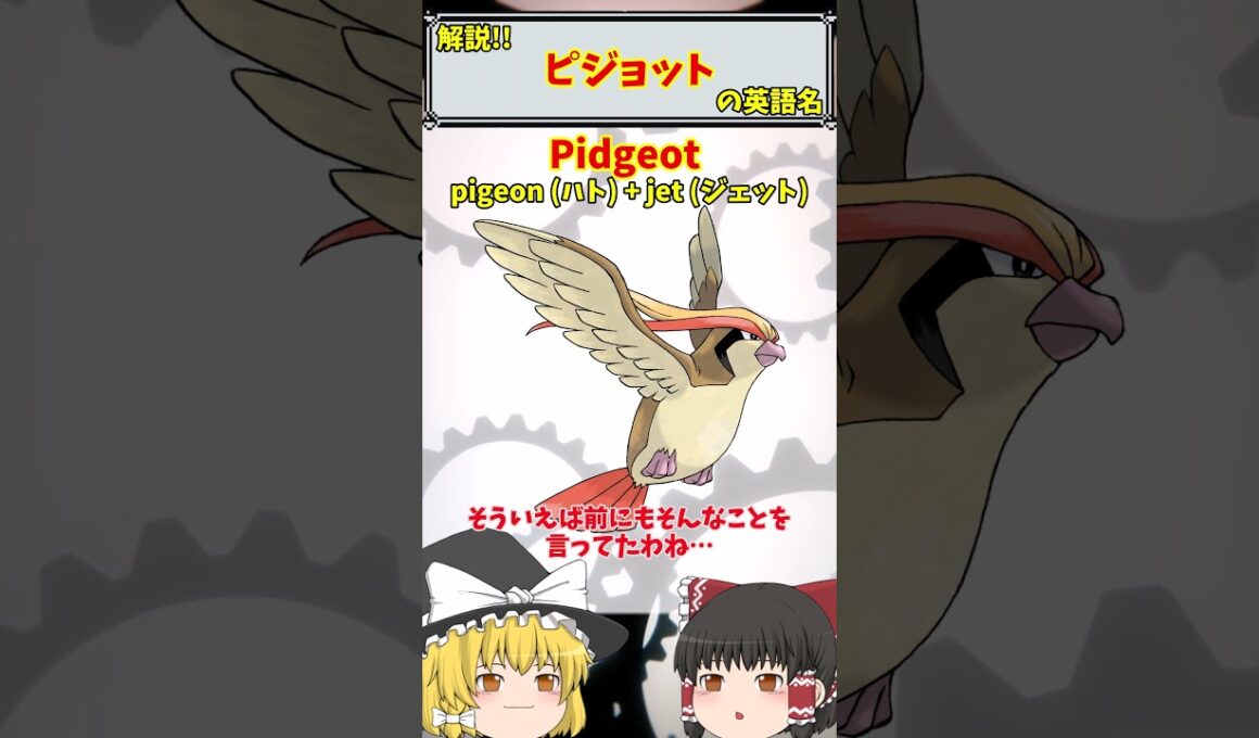 【英語でポケモン】No.018 ピジョット【海外ポケモン】 #ポケモン #ポケモンゆっくり解説 #ポケモン解説 #海外 #英語 #toeic