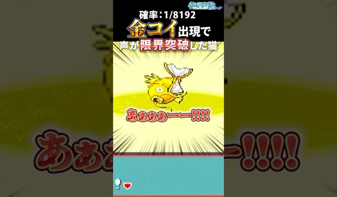 【1/8192の奇跡】ガチで震えた色違い金コイキング出現の瞬間 #金コイ耐久 #pokemon #ポケモン #色違い #shorts