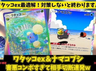【ポケポケ】ナマコブシ型がやばいw対策しないと詰むワタッコexの最適解！