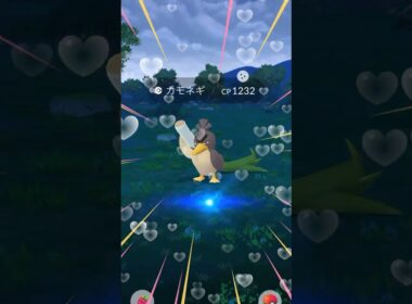 無課金でポケモンGO カモネギ色違いゲットだぜ！