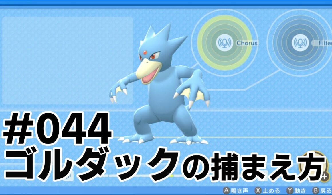 ゴルダックを探している方に見てほしい動画