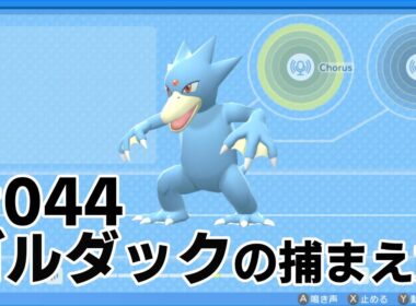 ゴルダックを探している方に見てほしい動画