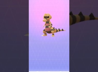 【 ポケモンgo 】 メグロコ → ワルビル ！サングラスかけさせたいw【 うさぴよの巣 】#sandile #krokorok # pokemon # pokemongo