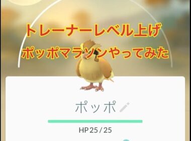 ポケモンGO　トレーナーレベル上げ攻略ポッポマラソン解説