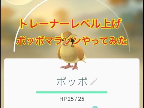 ポケモンGO　トレーナーレベル上げ攻略ポッポマラソン解説