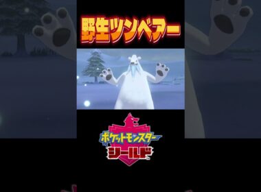 最強のツンベアーと出会ってしまった...#ポケモン #ポケモン剣盾 #ポケモンソードシールド #shorts