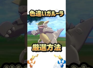 色証も狙える！色違いガルーラの簡単?な厳選方法！！ #ポケモン #shorts