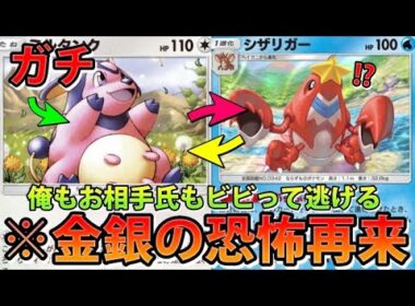 【緊急】金銀時代の恐怖再来!?"ミルタンク＆シザリガー"絶望のオーラレベル100!!なみ実況!【カード紹介】