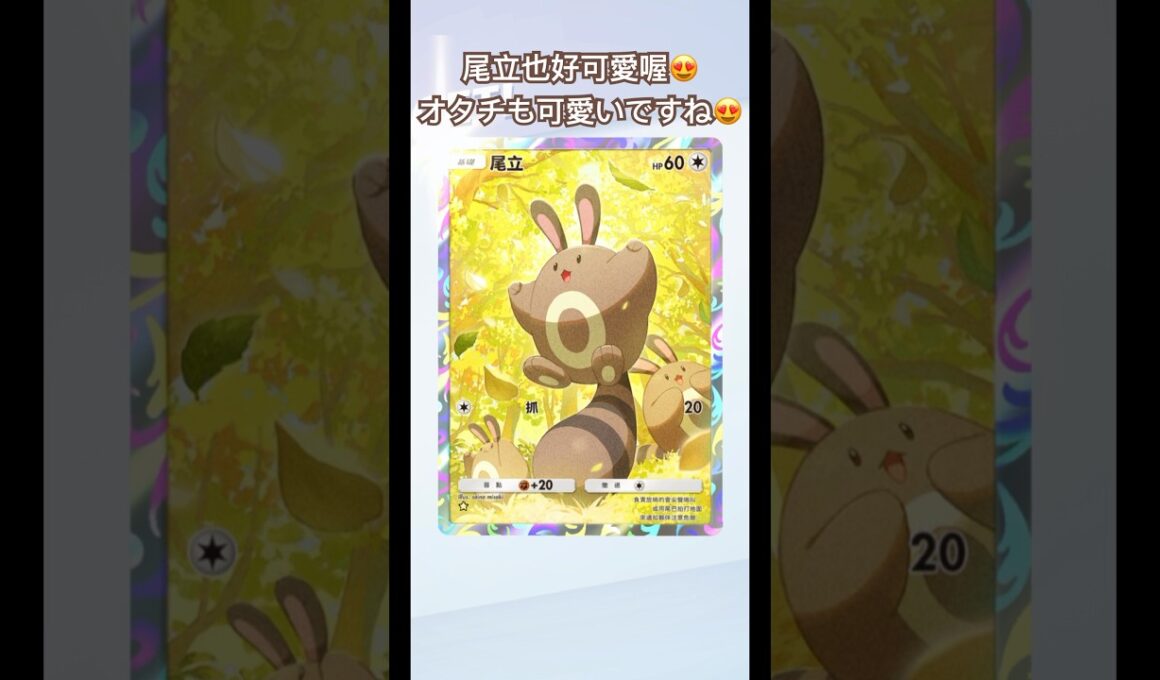 尾立也好可愛喔😍 ｜オタチも可愛いですね😍#pokemon #pokemoncards #ポケモン