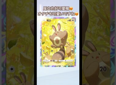 尾立也好可愛喔😍 ｜オタチも可愛いですね😍#pokemon #pokemoncards #ポケモン