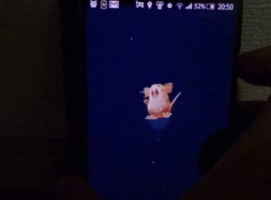 ポケモンGO 俺のコラッタをラッタに進化