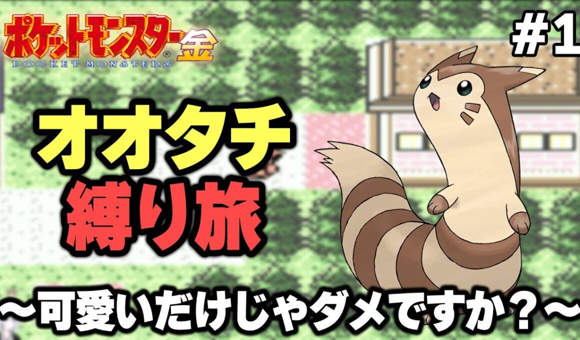 【ポケモン金銀】オオタチ縛り旅。可愛いだけじゃダメですか？ 1