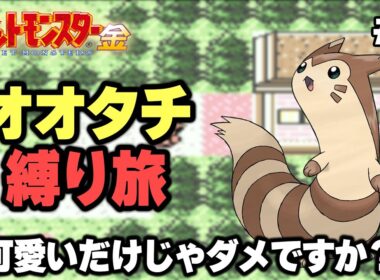 【ポケモン金銀】オオタチ縛り旅。可愛いだけじゃダメですか？ 1