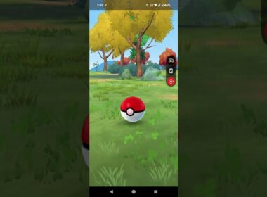 R.6.11.13.のポケモンgo-1のドガース