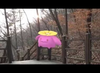 두코 ( Skiploom ) ポポッコ ( 毽子花 ) (16:9)