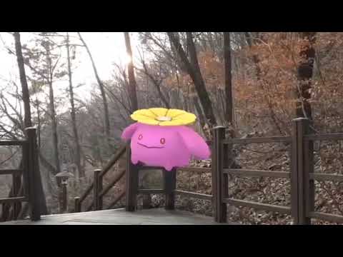 두코 ( Skiploom ) ポポッコ ( 毽子花 ) (16:9)