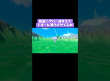 色違いウパーを捕まえてドオーに進化させてみた