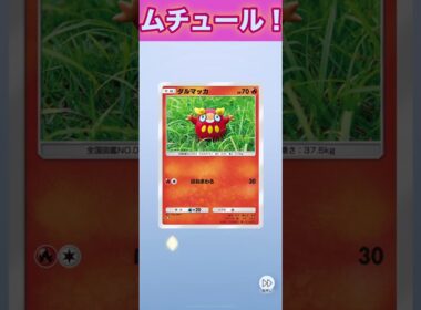 ムチュール！6枚パック！【ポケポケ】