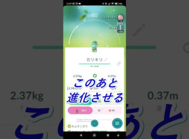 【ポケモンＧＯ】色違いカリキリからのラランテス#ポケモン#ポケモンGO#ポケットモンスター#色違い#shorts#ゲーム#スマホゲーム#スマホ#バトル#ゲーム動画#動画#色違いポケモン　