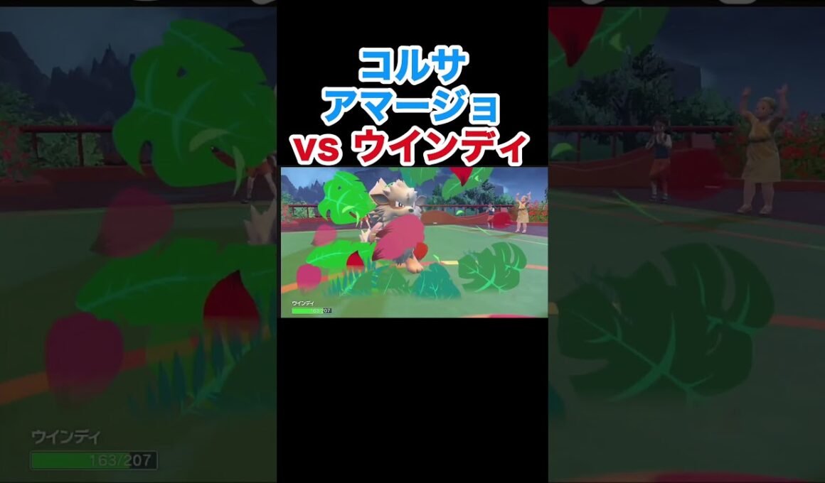 クリア後のコルサと対戦 ドレディアvsウインディ【スカーレット・バイオレット】#ポケモン #ポケモンSV  #ウインディ #ドレディア #pokemon #キノガッサ #アマージョ