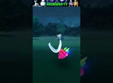ポケモンGO ハクリュー！え？、、、
