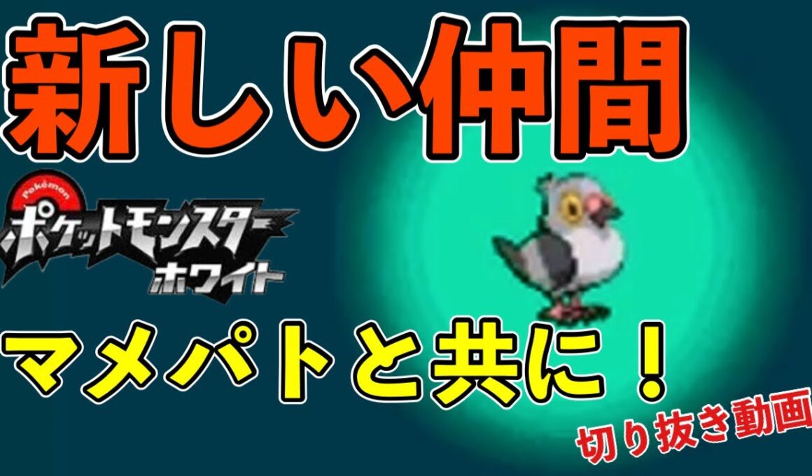 【ポケットモンスターホワイト】新しい仲間 マメパトと共に！[Tiktok配信 切り抜き動画]